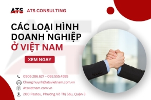 Các loại hình doanh nghiệp ở Việt Nam