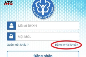 Cách Đăng Ký VssID
