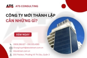 Công ty mới thành lập cần làm những gì?